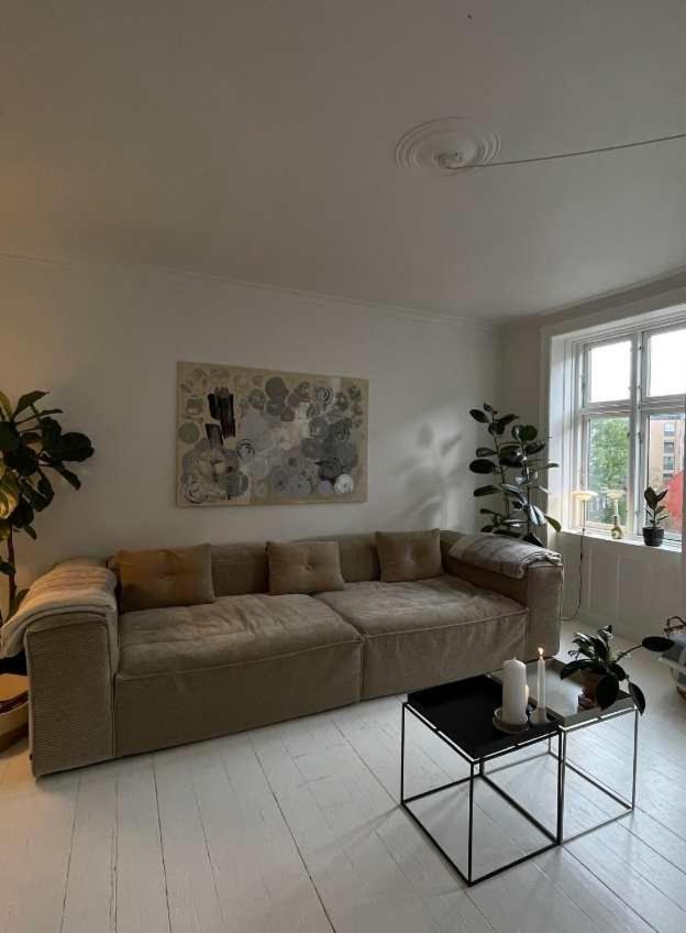 Vesterbro Star *